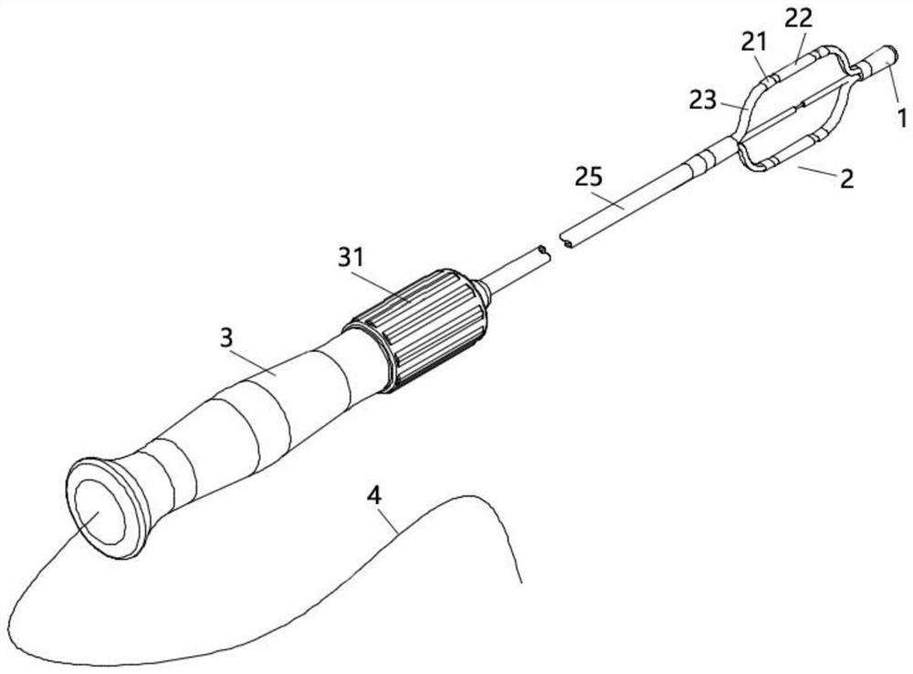 Sympathetic nerve ablation catheter