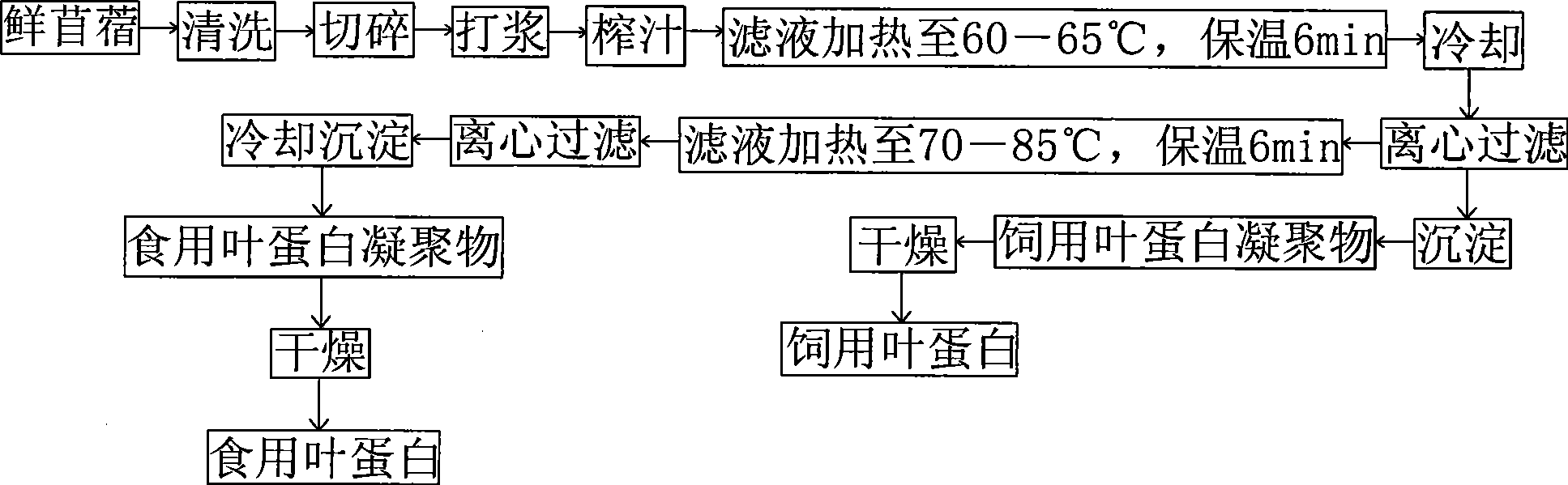 Method for directly separating and extracting leaf protein of heart trefoil for feeding and eating