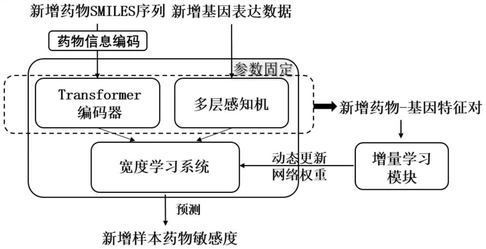 Incremental width and deep learning drug response prediction method, medium and equipment