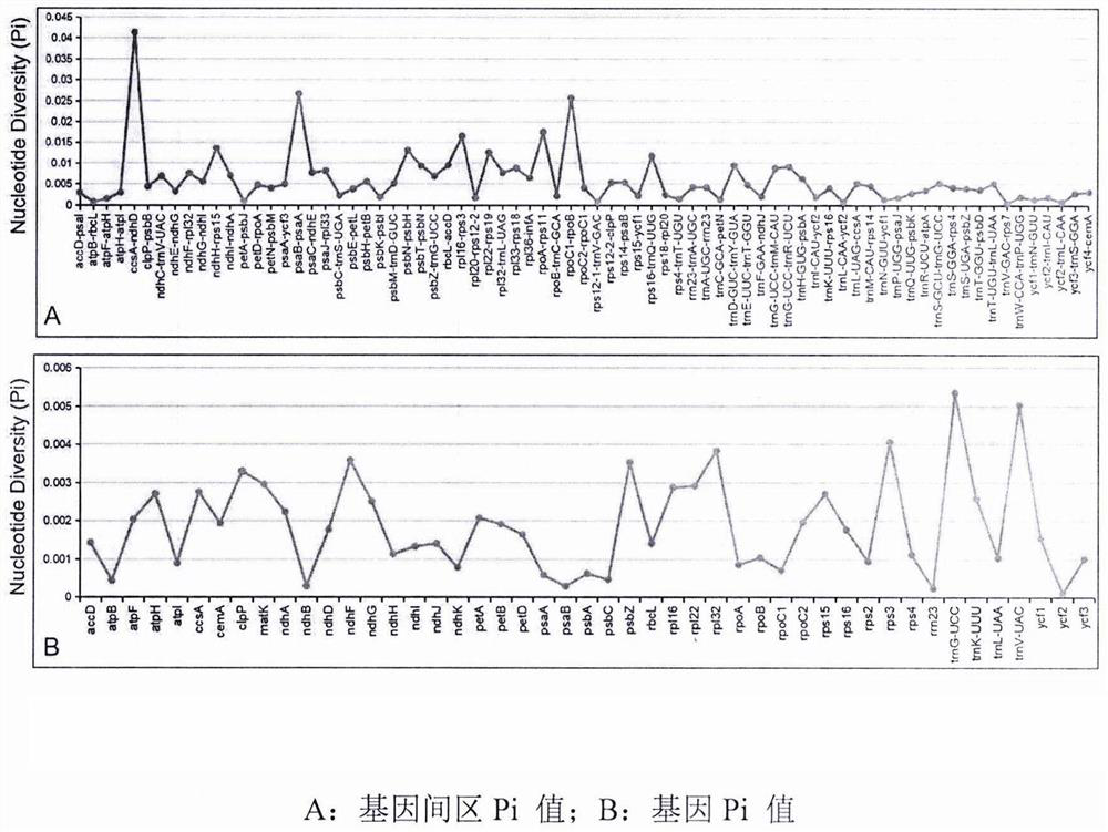 Method for identifying three original species of rhei radix et rhizoma medicinal material and application