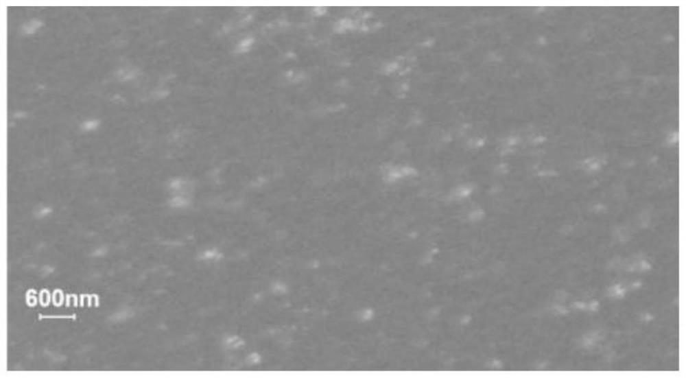 Nanometer zinc oxide/artemisia annua volatile oil/epoxy resin high-performance antibacterial material and preparation method thereof