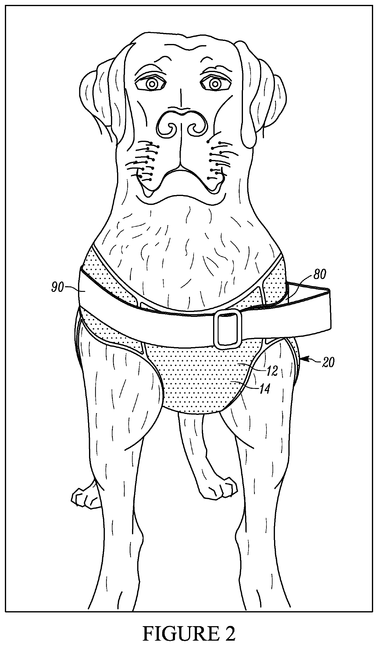 Restraint assembly for an animal