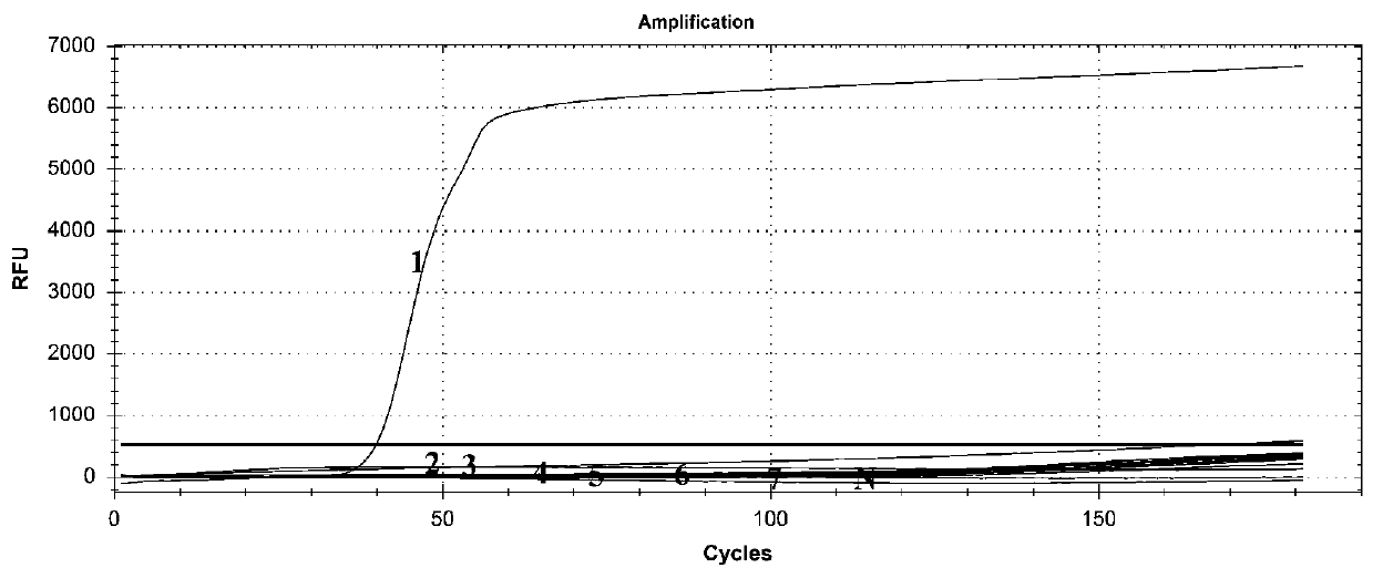 Primer set for detecting trichina gene by loop-mediated constant temperature amplification, application and method