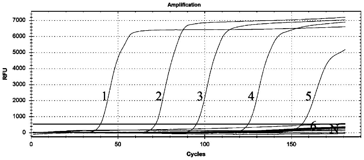 Primer set for detecting trichina gene by loop-mediated constant temperature amplification, application and method