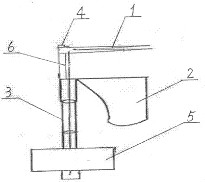 Visible picking device used for torreya grandis