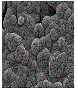 Acidic electroplating zinc-nickel alloy electrolyte, preparation method and electroplating method