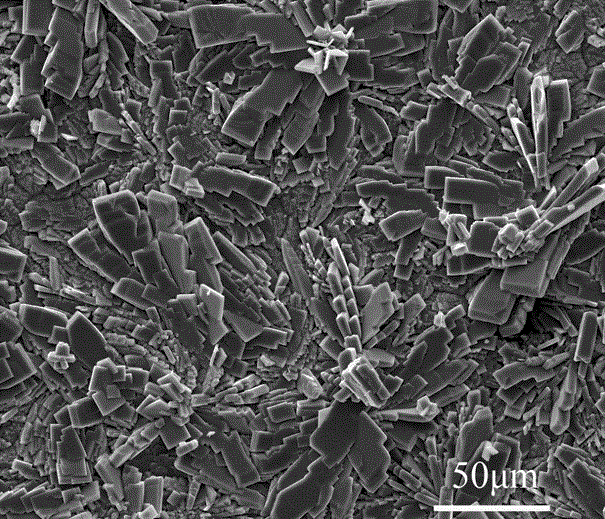 Coating capable of improving surface corrosion resistance and biocompatibility of medical magnesium and magnesium alloy and preparing method of coating