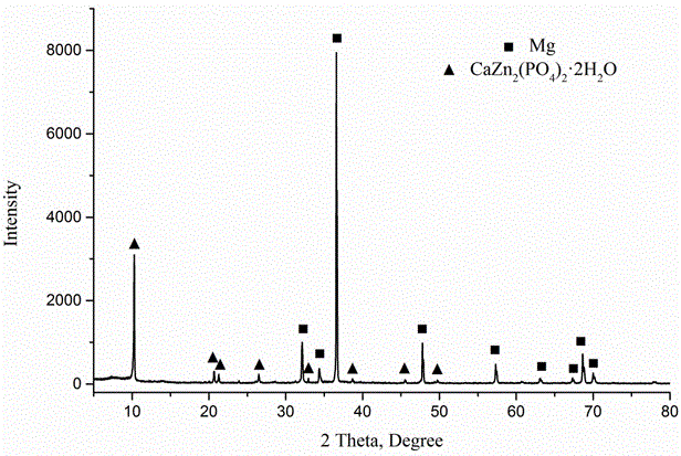 Coating capable of improving surface corrosion resistance and biocompatibility of medical magnesium and magnesium alloy and preparing method of coating