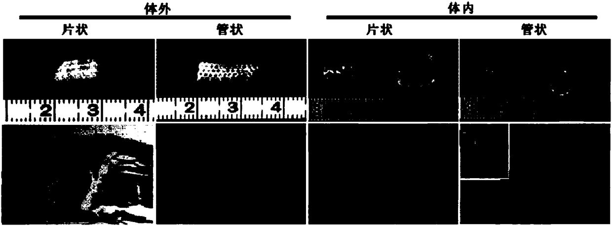 Tissue engineering cartilage framework as well as preparation method and application thereof