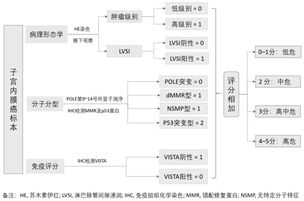 Endometrial cancer prognosis evaluation system incorporating molecular typing and immune scoring