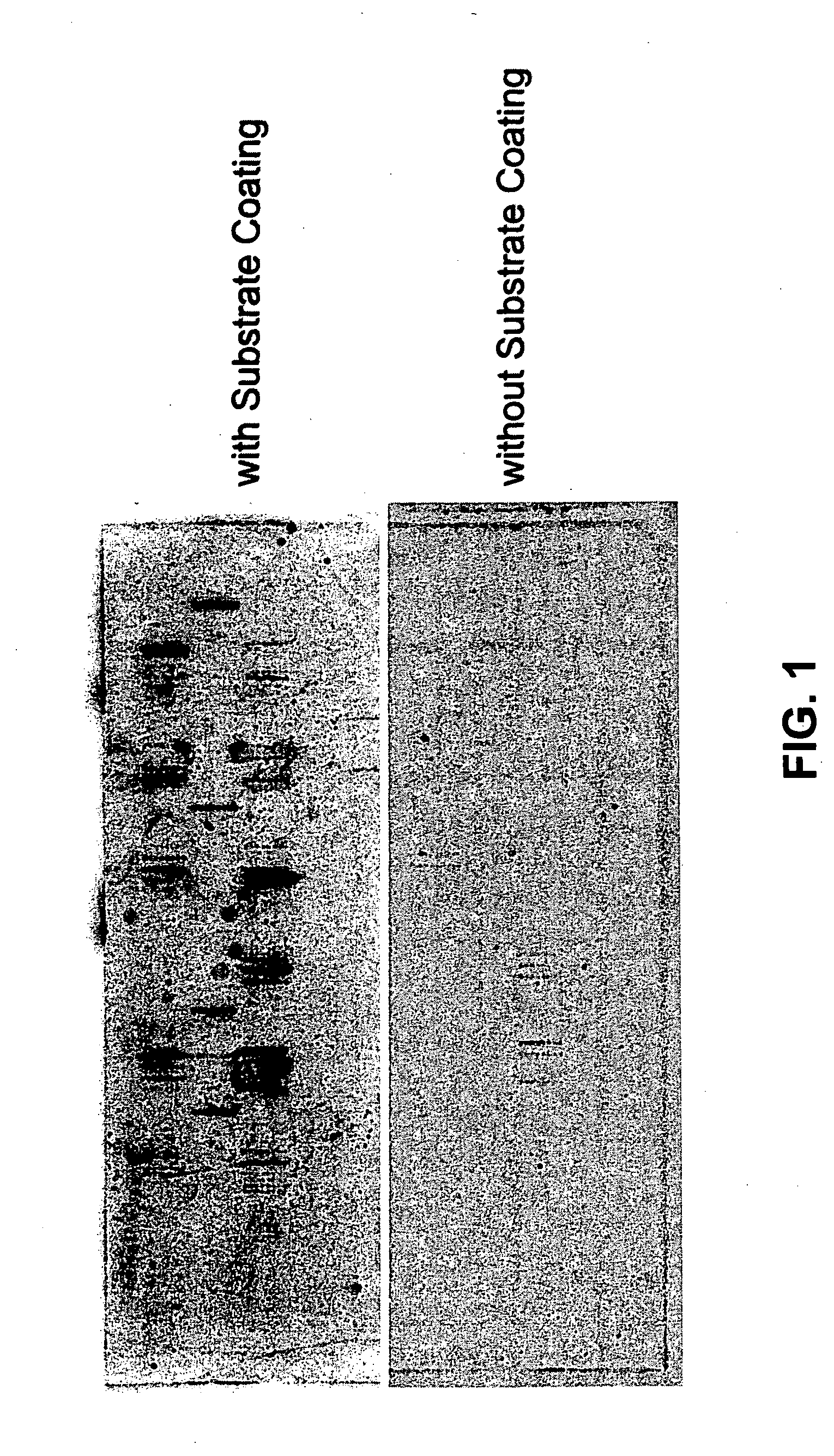 Methods for conducting assays for enzyme activity on protein microarrays