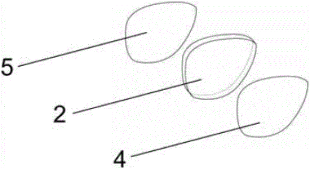 Color vision correcting lens, color vision correcting equipment and manufacturing method of color vision correcting lens