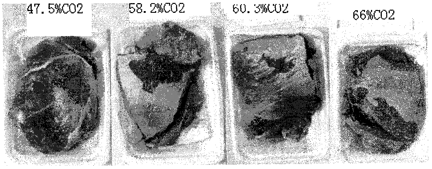 Air-regulating antistaling agent for packed sliced meat