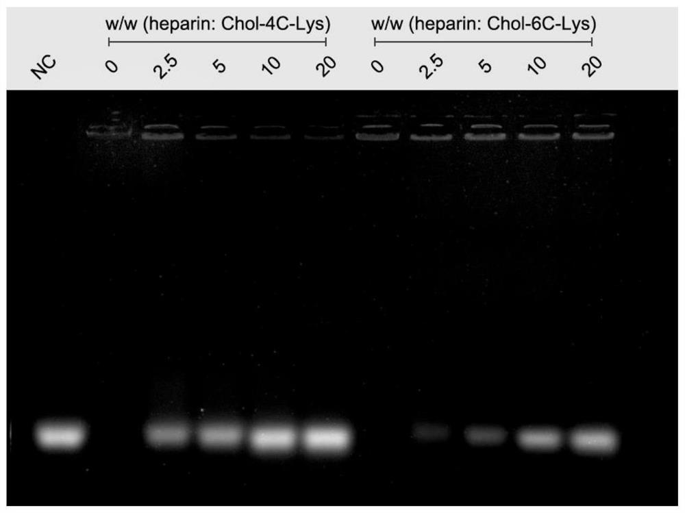 Cationic cholesterol derivative, nano-composite and preparation method and application of nano-composite