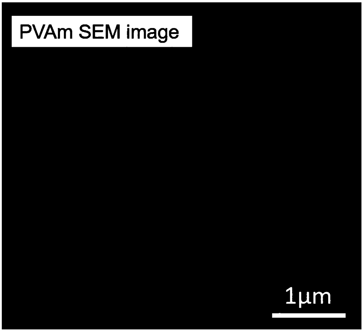 Preparation method of separation membrane material polyvinylamine for capturing carbon dioxide