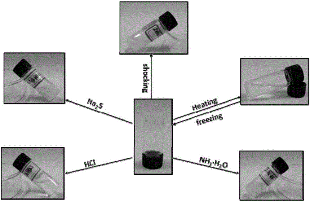 Supramolecular gelator of gemini type structure and preparation method of supramolecular gelator