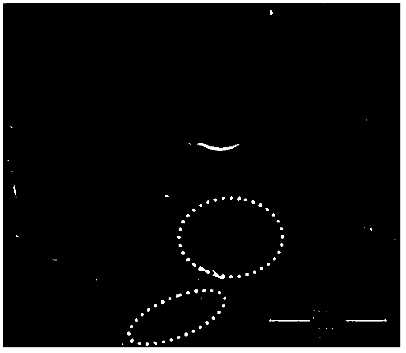 Preparation method of wood-organic-inorganic hybridized nano composite material based on doped nano POSS (Polyhedral Oligomeric Silsesquioxane)