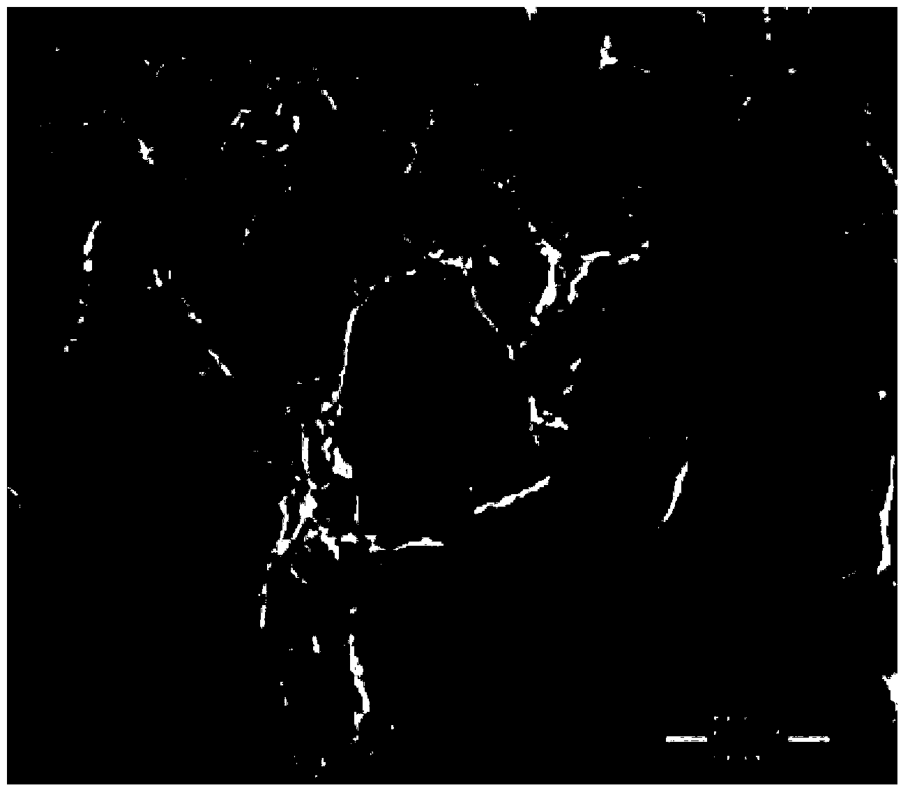 Preparation method of wood-organic-inorganic hybridized nano composite material based on doped nano POSS (Polyhedral Oligomeric Silsesquioxane)