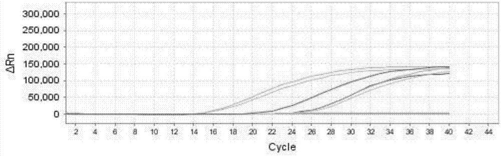 Multiplex fluorescence PCR detection kit for hand-foot-and-mouth disease viruses and application thereof