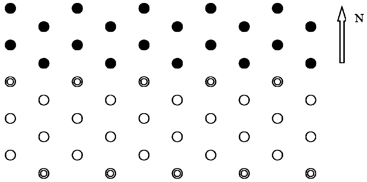 Method of establishing fruit-wood forest of Carya illinoinensis