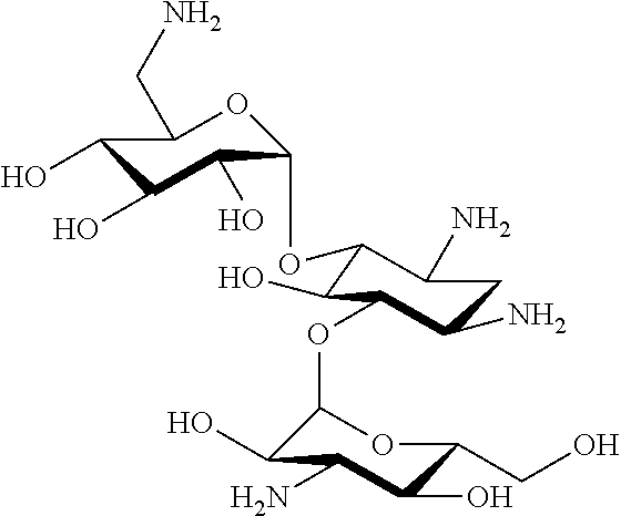 Aminoglycosides: synthesis and use as antifungals