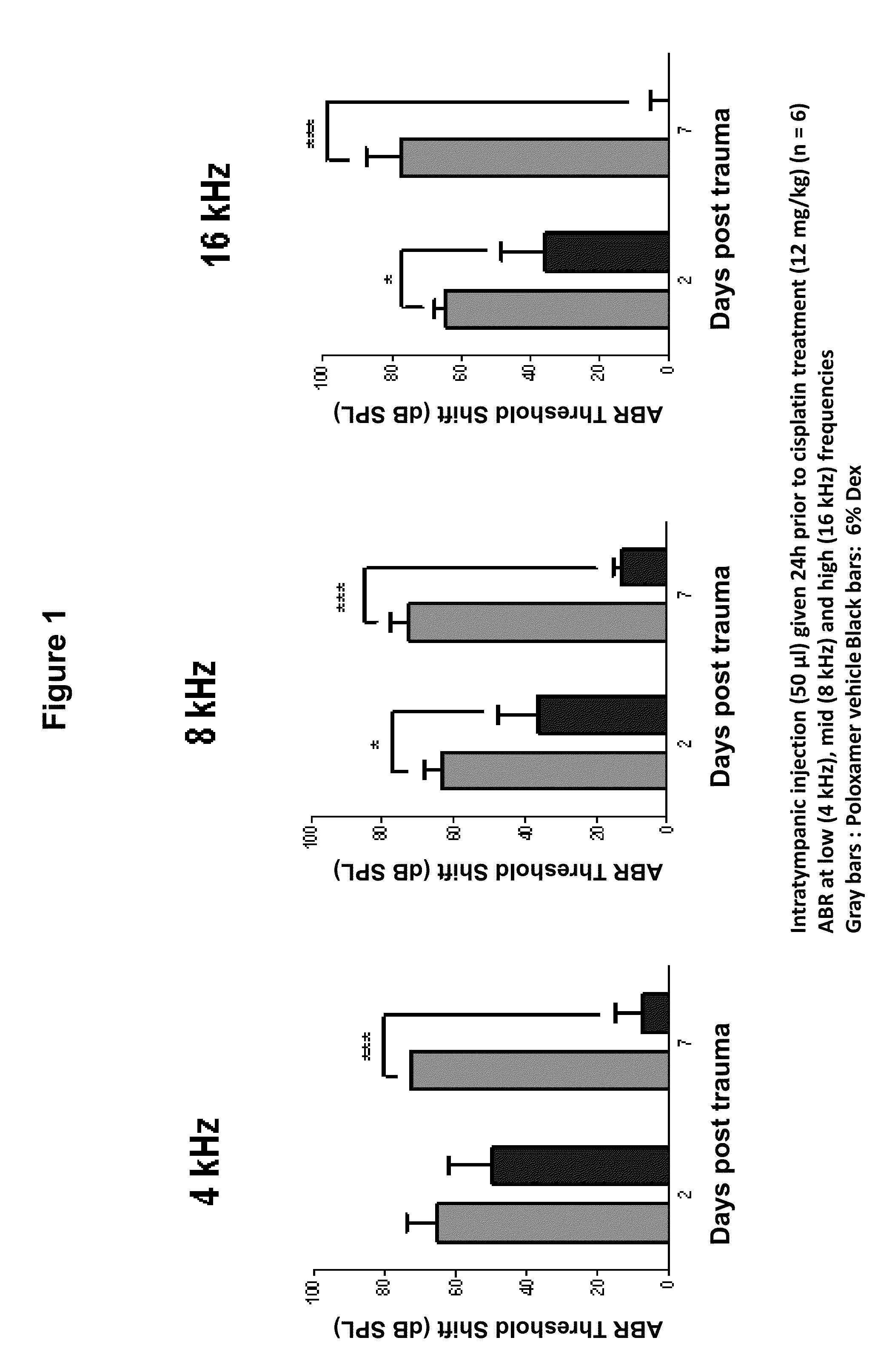 Prevention of and Recovery from Drug-Induced Ototoxicity