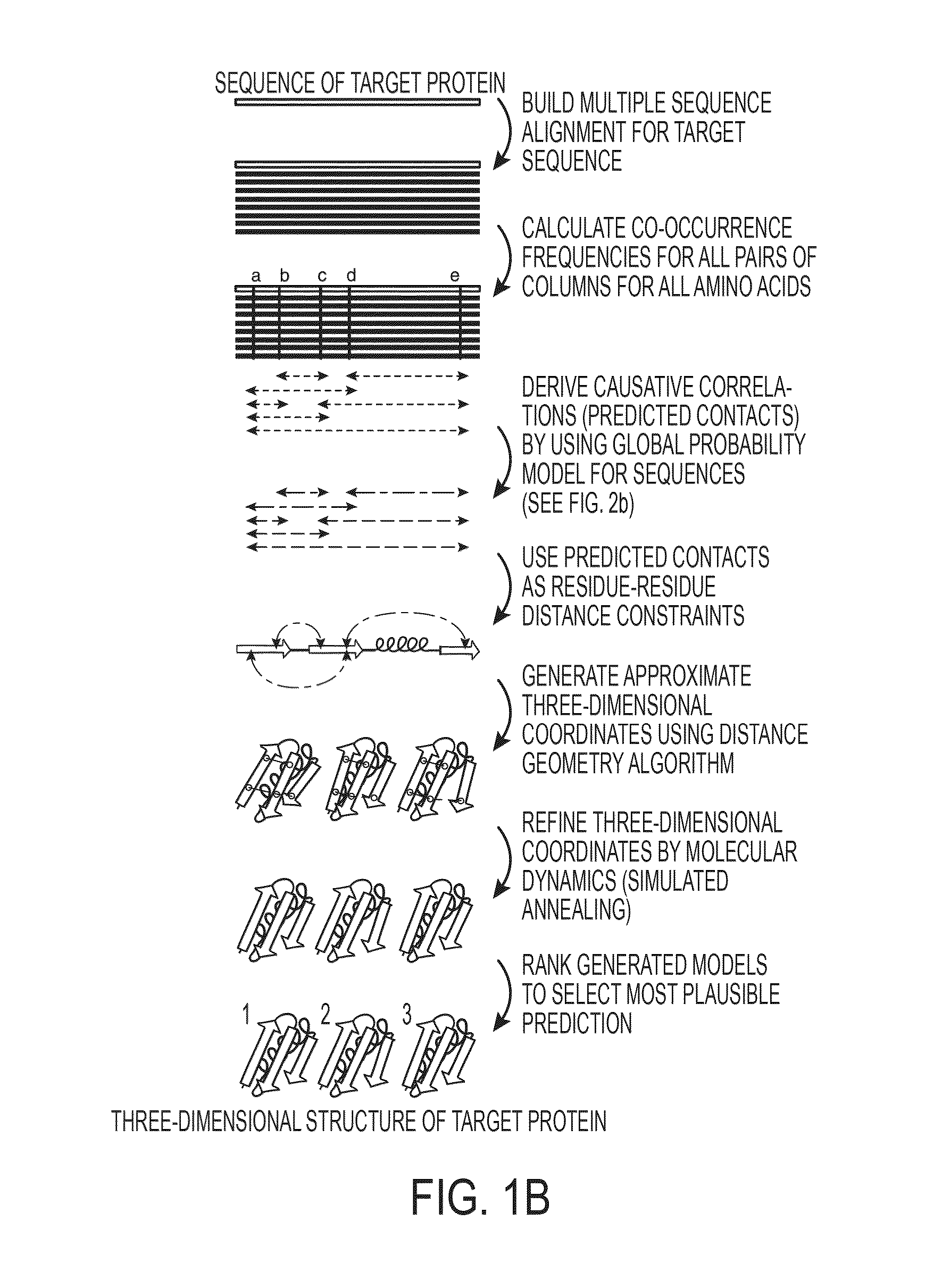 Methods and apparatus for predicting protein structure