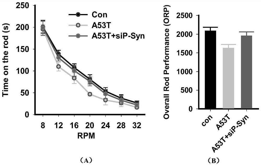 A small molecular polypeptide and its application in the preparation of drugs for preventing and treating Parkinson's syndrome