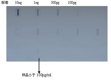 Method for preparing Vero cell influenza virus vaccine