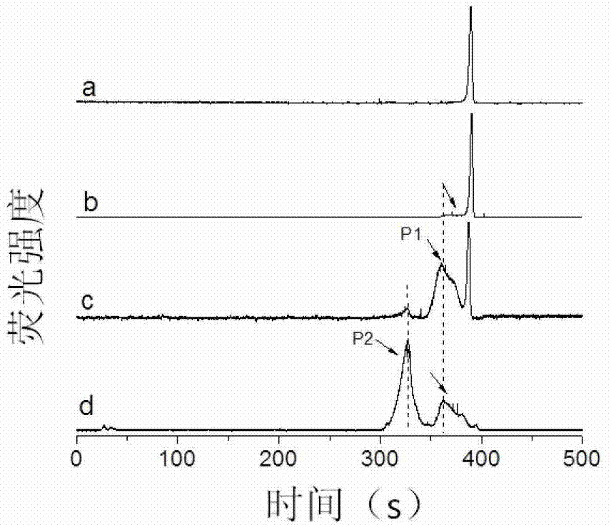 Quantum dot targeting probe for colorectal cancer tumor tissue identification and preparation method thereof