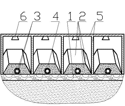 Compound organic-soil planting farm