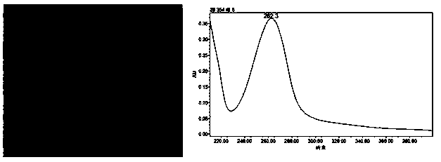 Extraction method for dalbergia sissoo and application of extracts in anti-tumor drugs