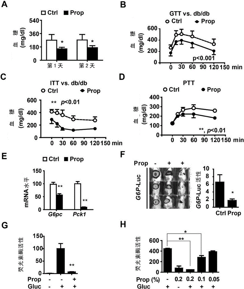 Applications of Artepillin C and analogue thereof in preparing drugs used for preventing metabolic diseases