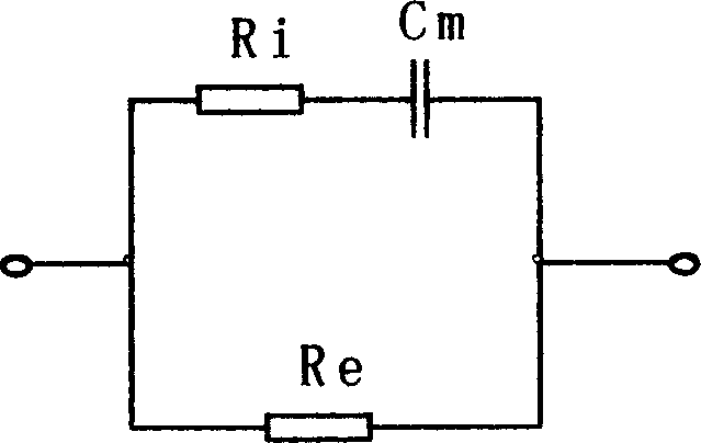 Method and apparatus for measuring biological tissue multi-frequency impedance