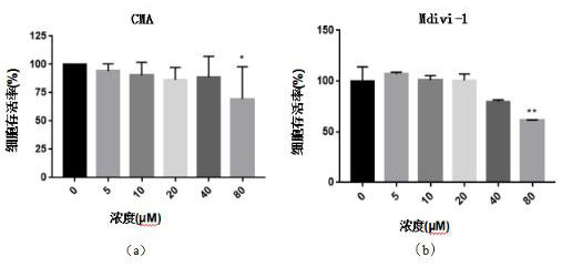 Composition for inhibiting macrophage activation and application thereof in preparation of anti-inflammatory product