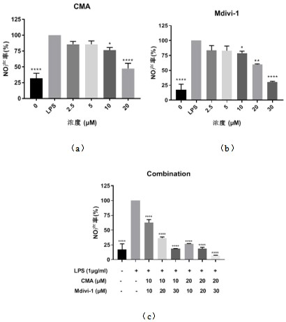 Composition for inhibiting macrophage activation and application thereof in preparation of anti-inflammatory product