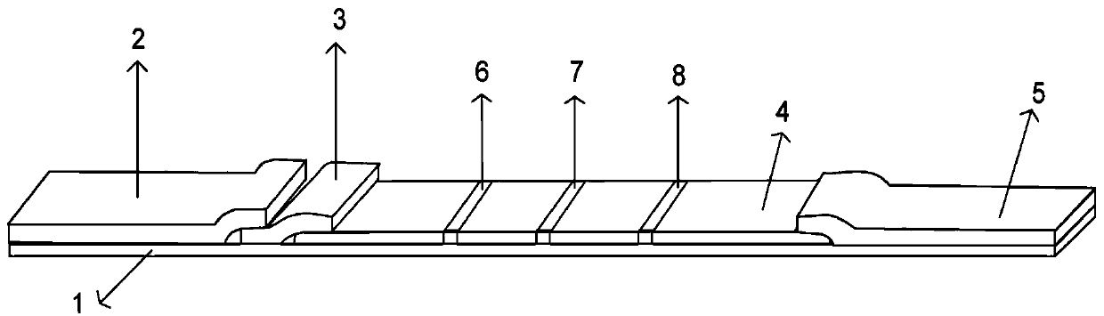 PCR-internal control nucleic acid test strip detection method for mycoplasma pneumoniae detection