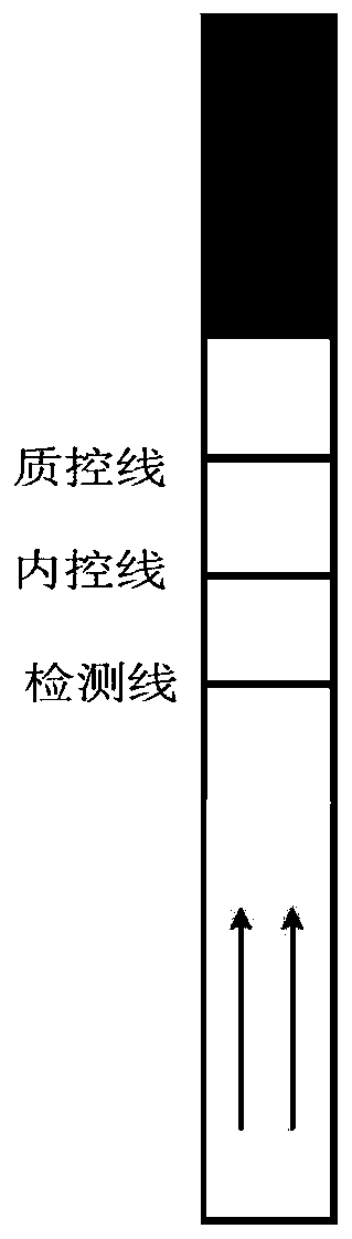 PCR-internal control nucleic acid test strip detection method for mycoplasma pneumoniae detection