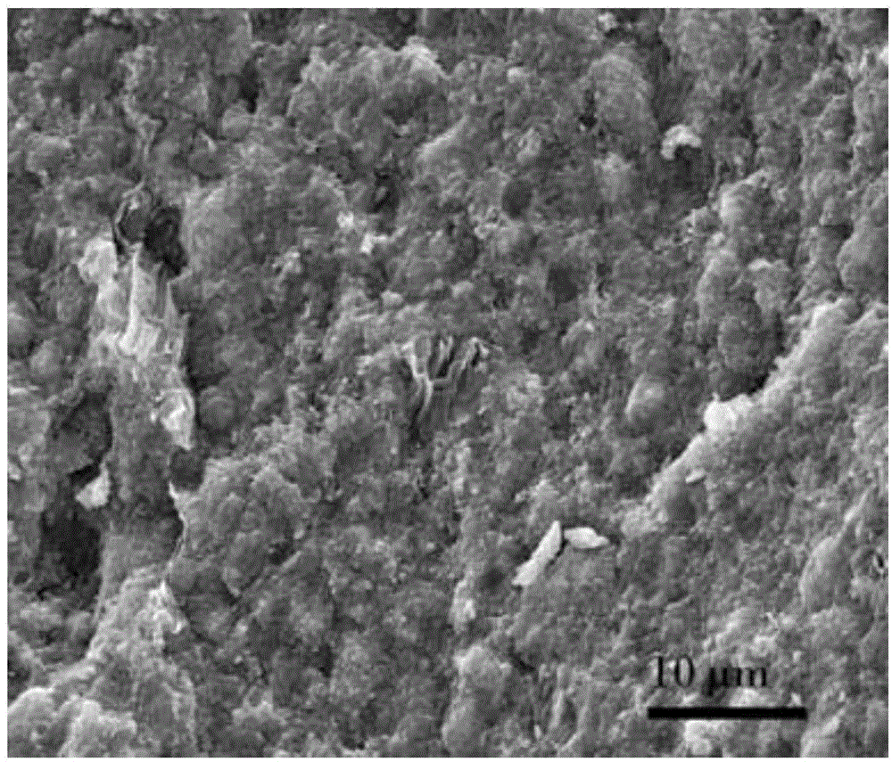 Graphene-reinforced silicon-boron-carbon-nitrogen ceramic composite material and preparation method thereof