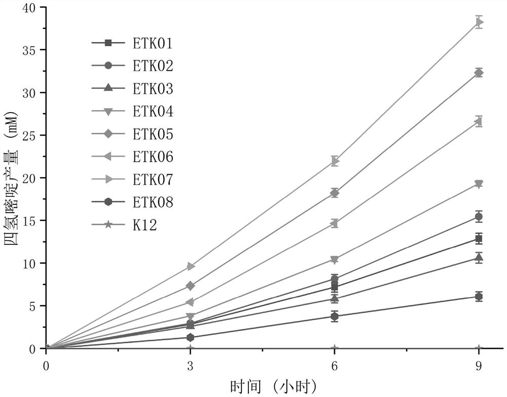 Construction method and application of recombinant bacteria for producing ectoine