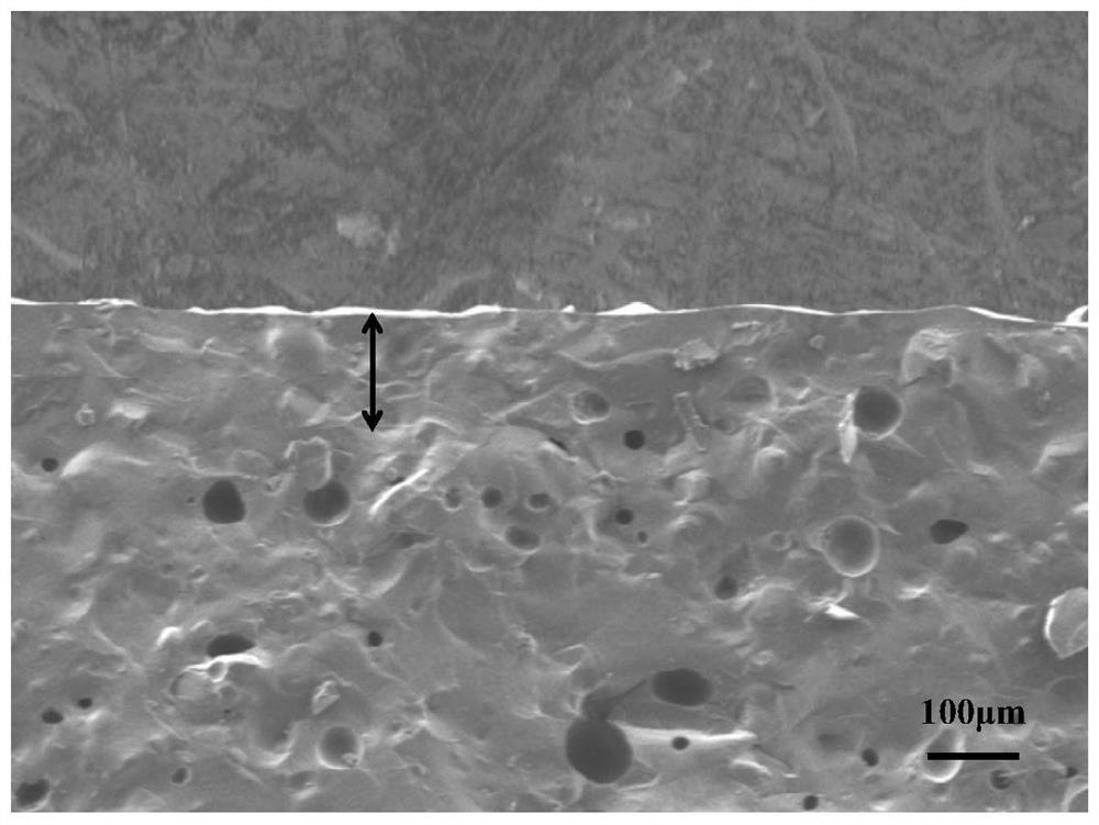 A kind of self-release glaze ceramic and preparation method thereof