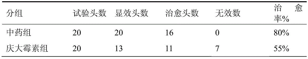 Traditional Chinese medicine composition for preventing and treating livestock respiratory disease