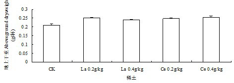 Method for improving drought resistance of turf on garbage compost substrate