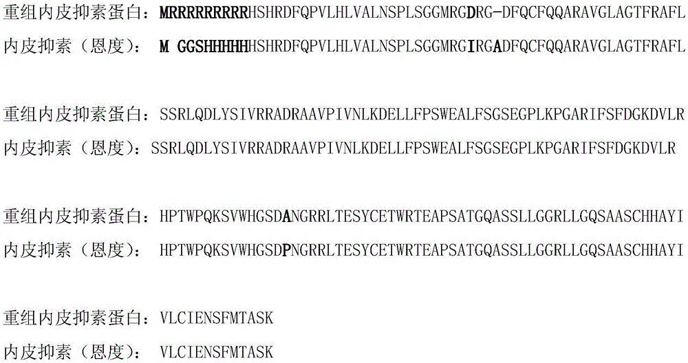 Recombinant human endostatin protein with different amino acid structures, method for preparing recombinant human endostatin protein and application thereof