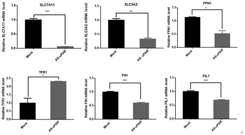 Method for enhancing sensitivity of tumors to drug