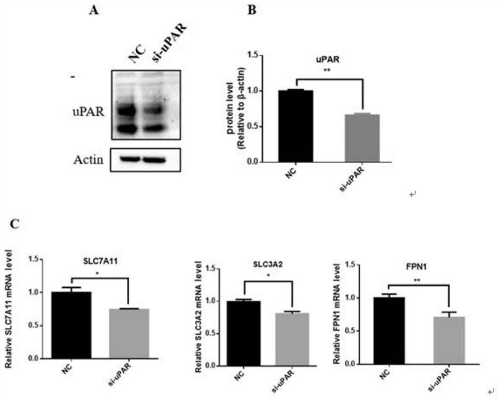 Method for enhancing sensitivity of tumors to drug