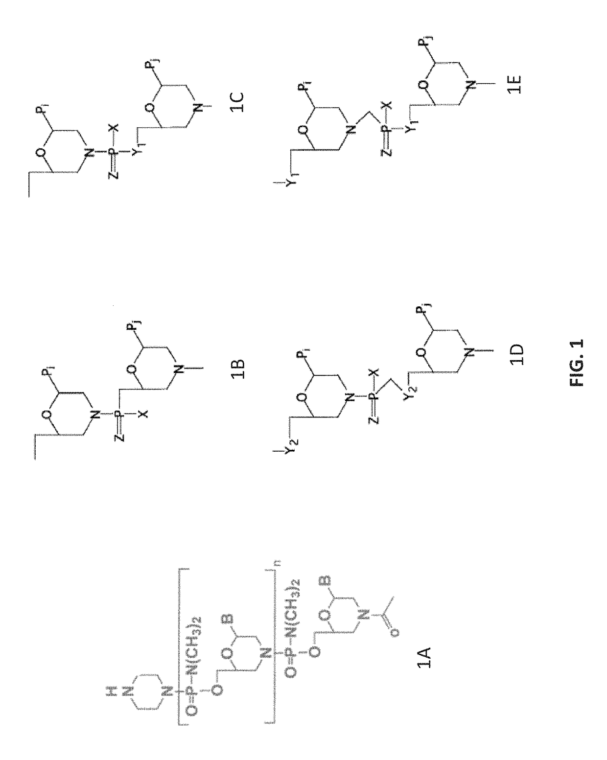 Antisense antibacterial compounds and methods