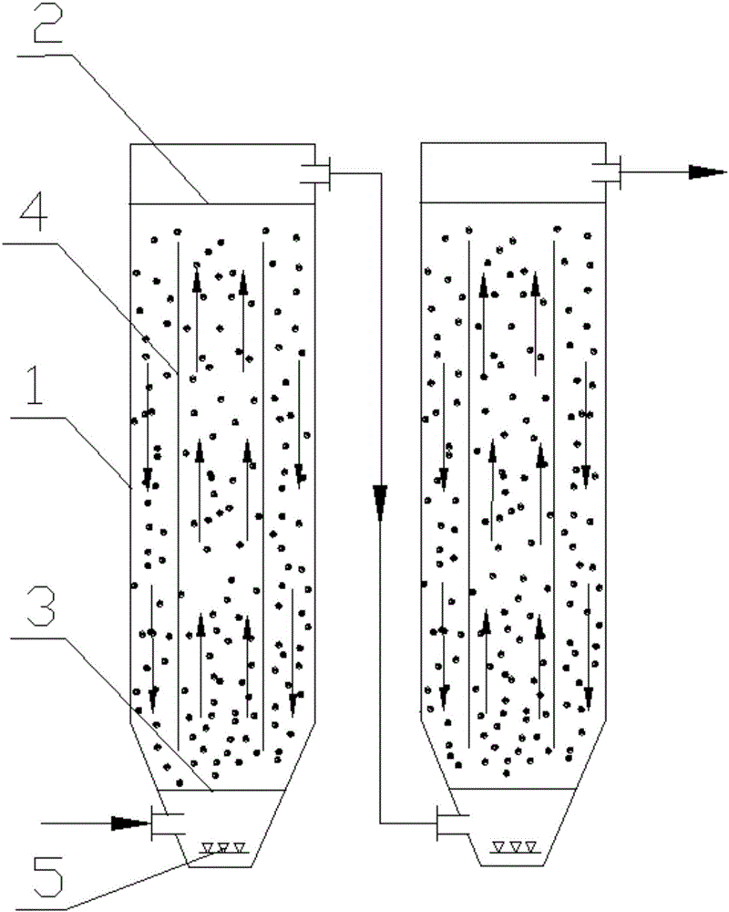 Biological absorbent used for treating heavy metal wastewater and application of biological absorbent