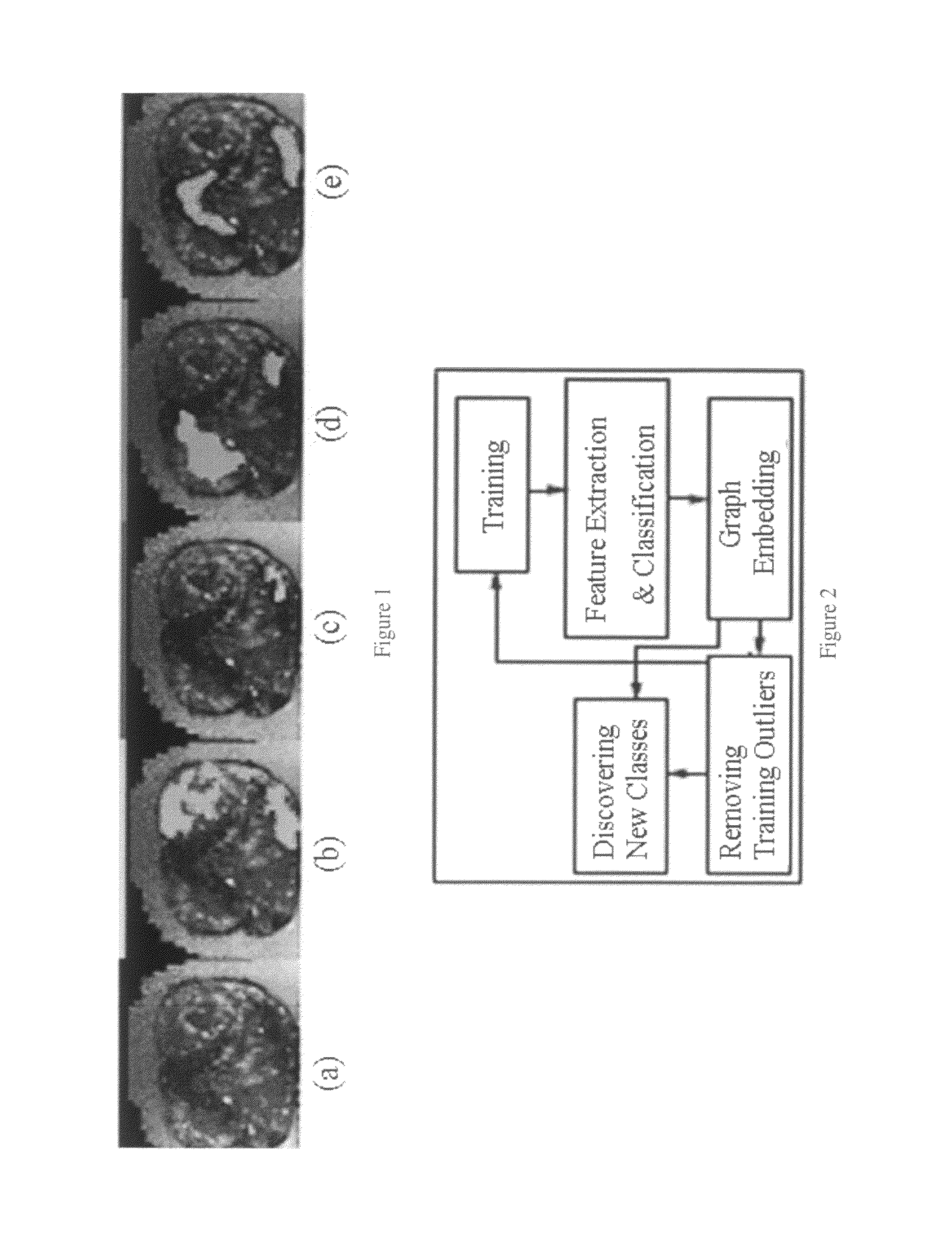 Systems and methods for classification of biological datasets