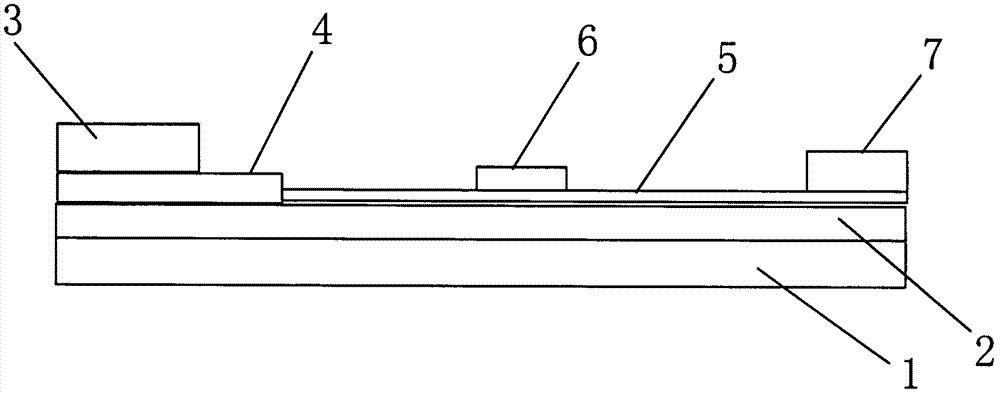 Method for detecting tissue cell protein by using housekeeping protein